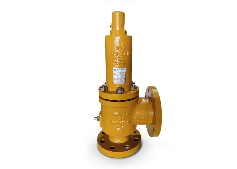 Safety Relief Valve C501
