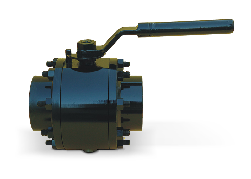 Forged Check Valve