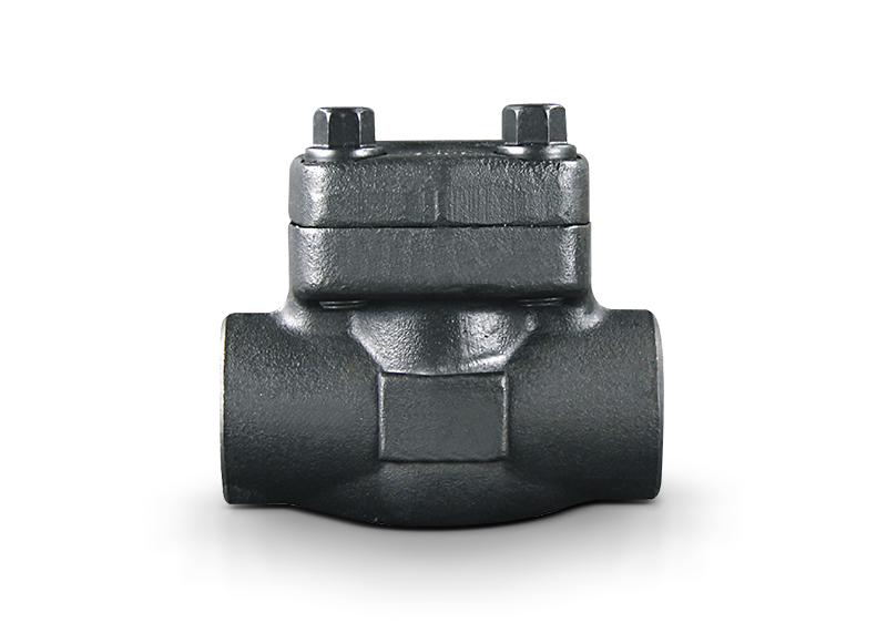 Forged Check Valve