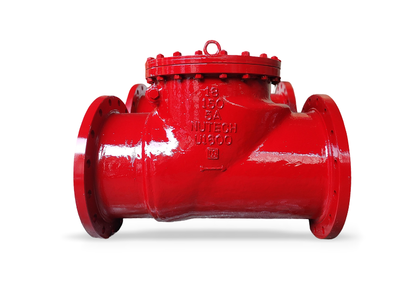 Swing Check Valve