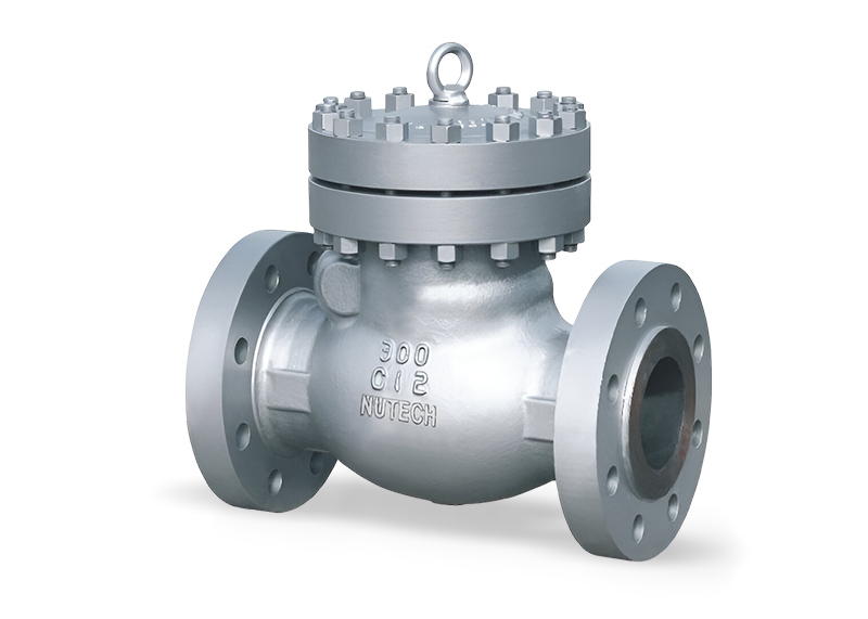 Swing Check Valve