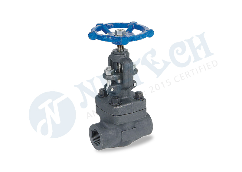 Forged Globe valve