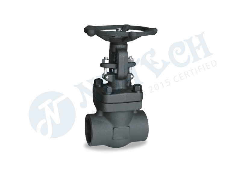 Forged Gate valve